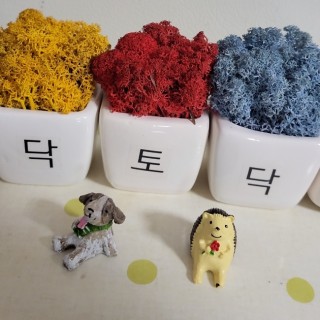 울산마사지샵 #22